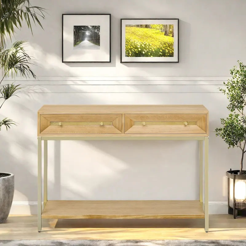 45.5 MDF Retro Console Table with Gold Accents, 2 Storage Drawers and Geometric Design