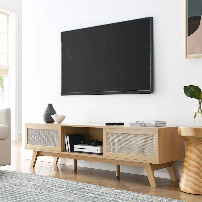 60" Rattan Door TV Stand with Storage