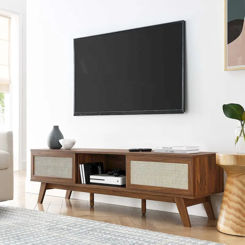 60" Rattan Door TV Stand with Storage