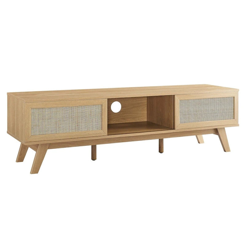 60" Rattan Door TV Stand with Storage