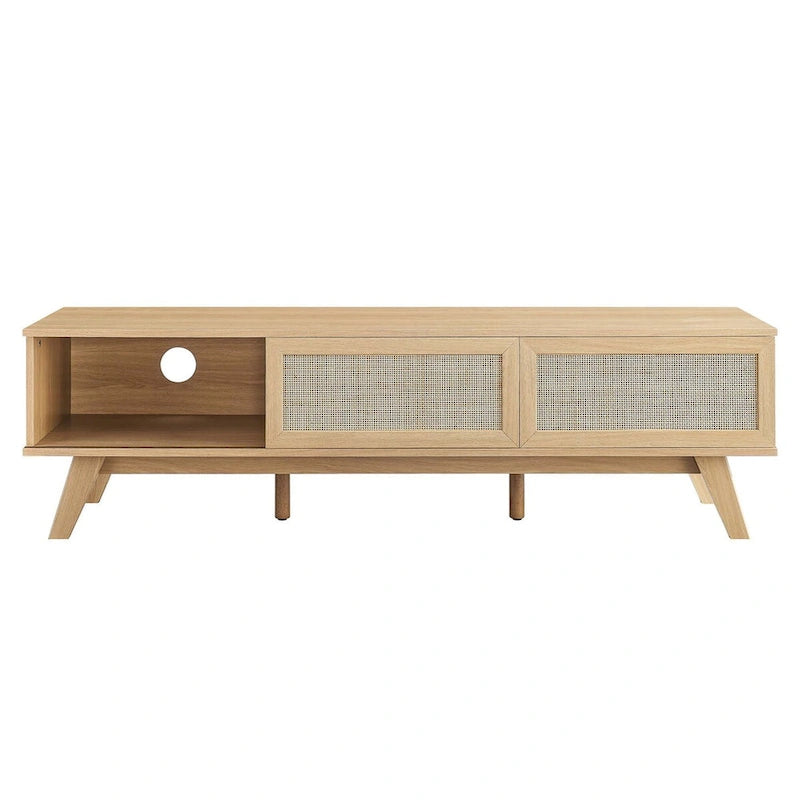 60" Rattan Door TV Stand with Storage