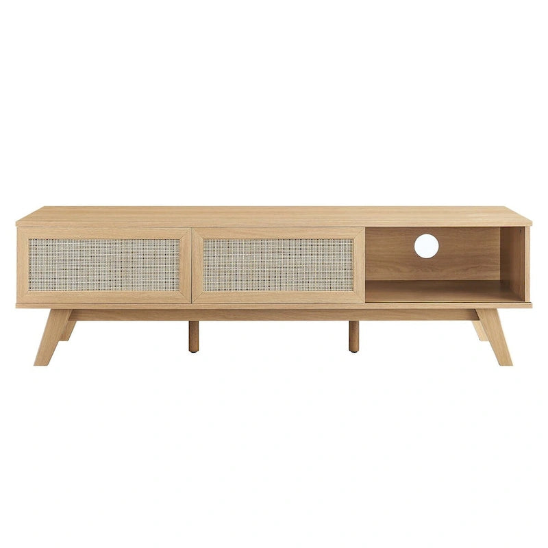 60" Rattan Door TV Stand with Storage