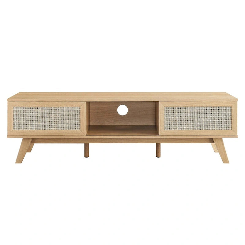 60" Rattan Door TV Stand with Storage