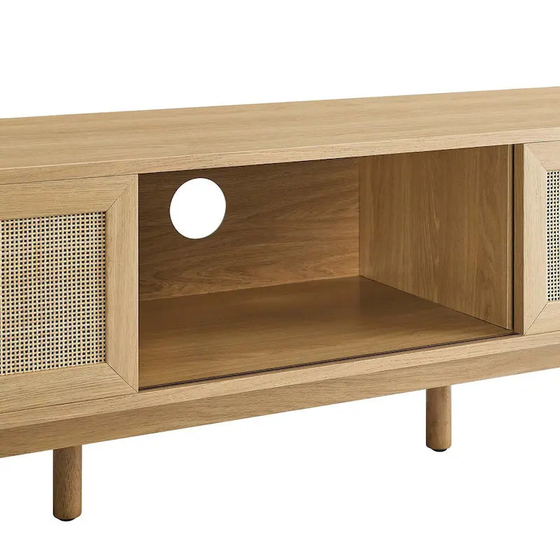 60" Rattan Door TV Stand with Storage