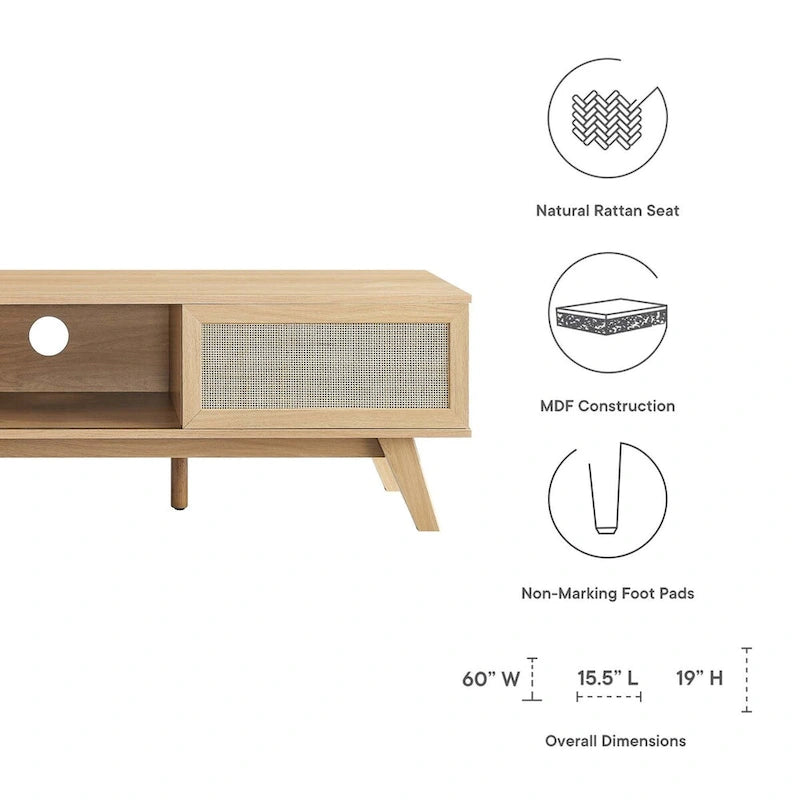 60" Rattan Door TV Stand with Storage