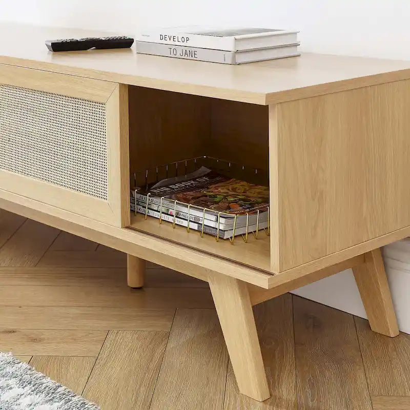 60" Rattan Door TV Stand with Storage