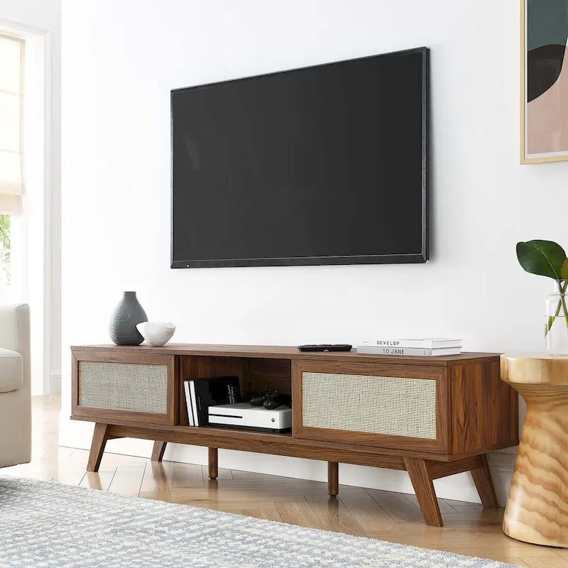 60" Rattan Door TV Stand with Storage