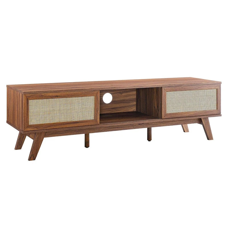 60" Rattan Door TV Stand with Storage