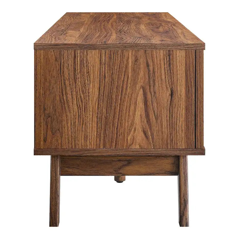 60" Rattan Door TV Stand with Storage