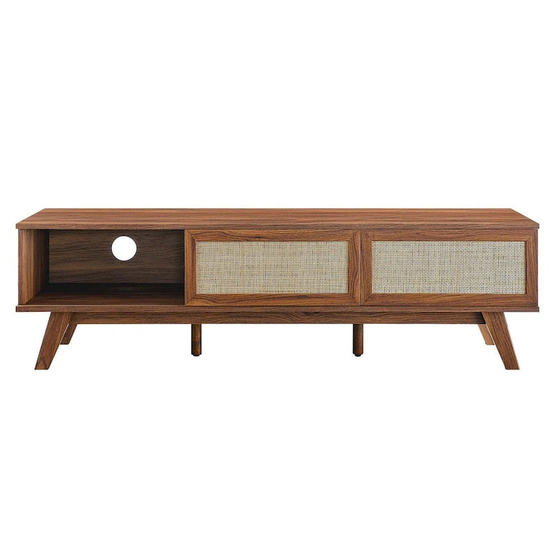 60" Rattan Door TV Stand with Storage