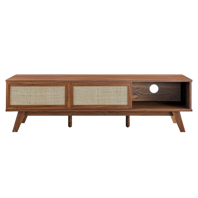 60" Rattan Door TV Stand with Storage