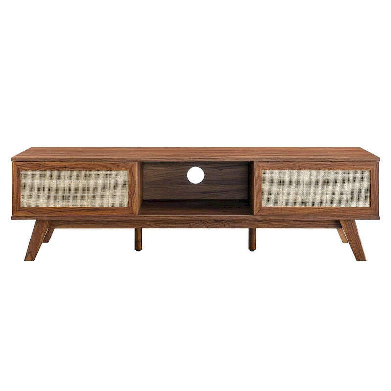 60" Rattan Door TV Stand with Storage