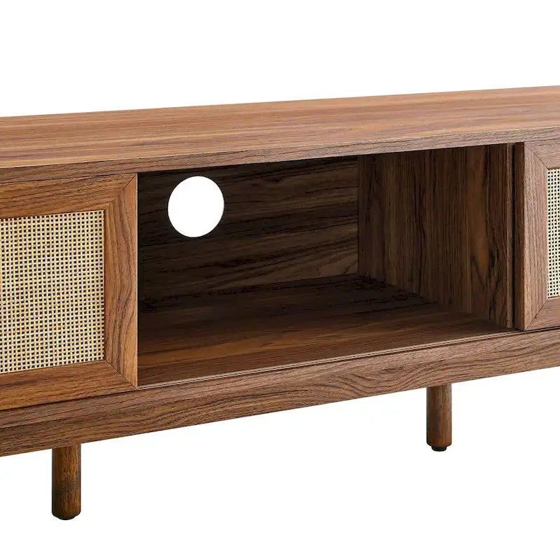 60" Rattan Door TV Stand with Storage