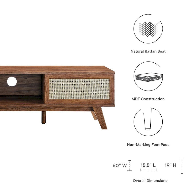 60" Rattan Door TV Stand with Storage