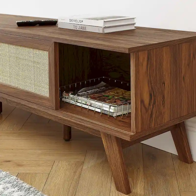 60" Rattan Door TV Stand with Storage
